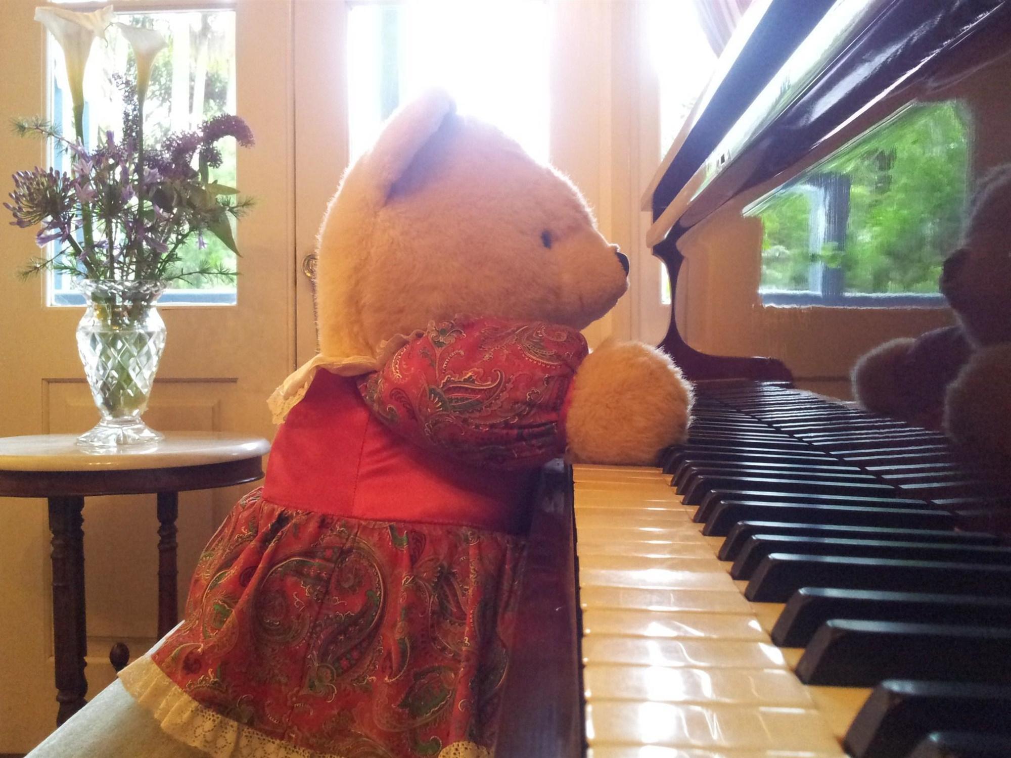 Amore Mt Tamborine บริสเบน ภายนอก รูปภาพ